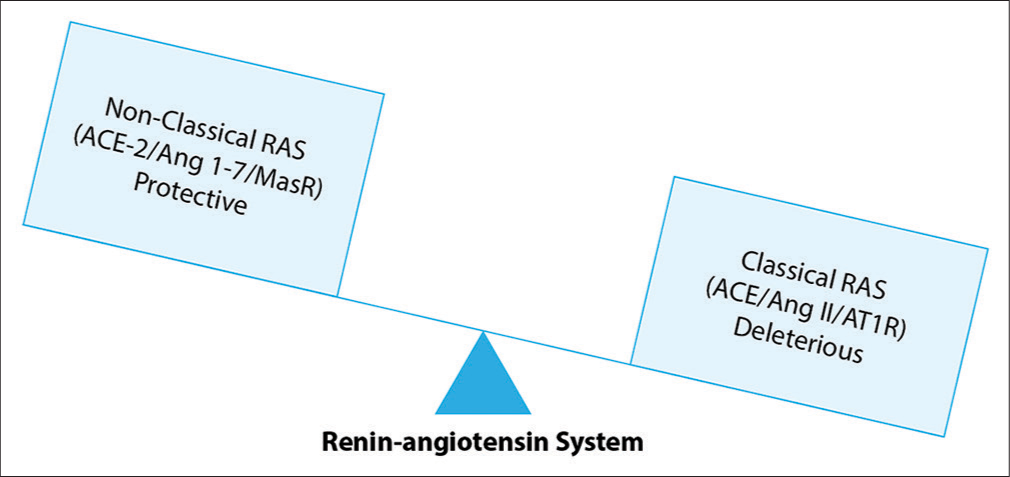 Physiological effects of key peptides of classical versus non-classical RAS.