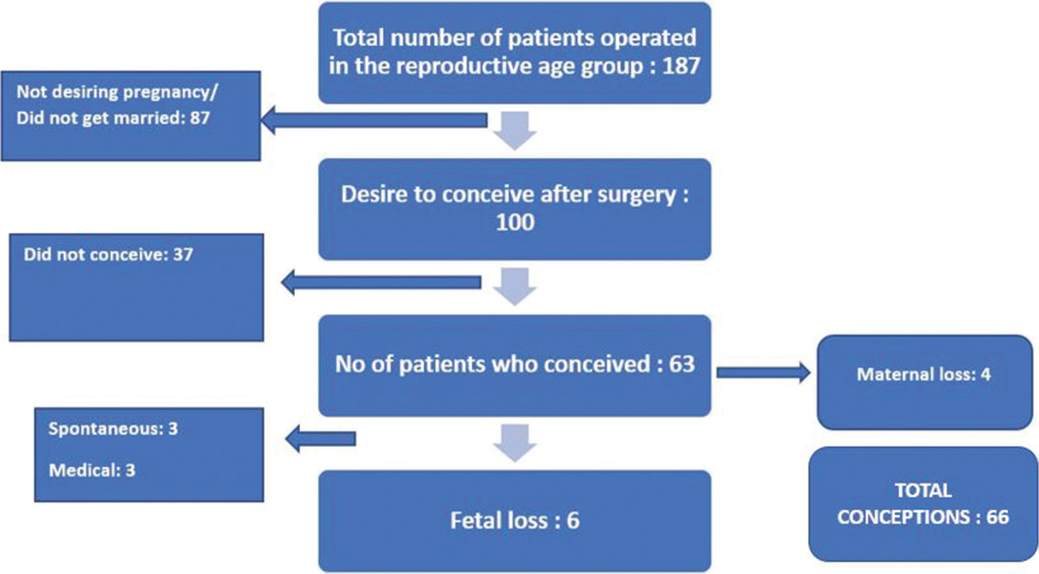 Sample size flow chart.