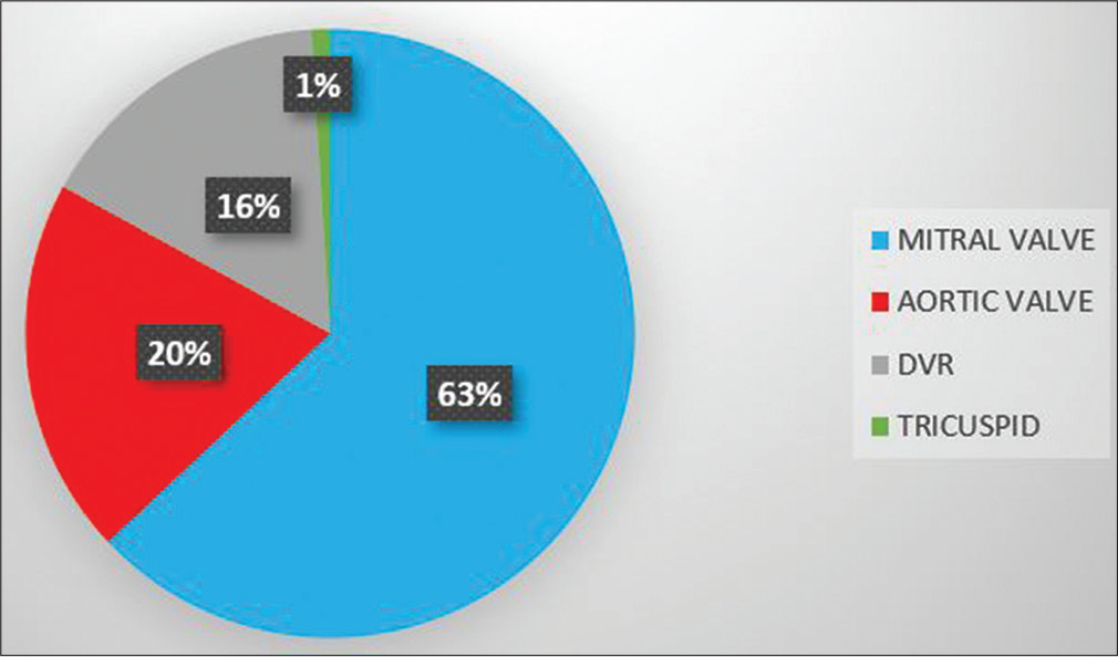 Pie chart representing the various valve surgeries undertaken for the sample size.