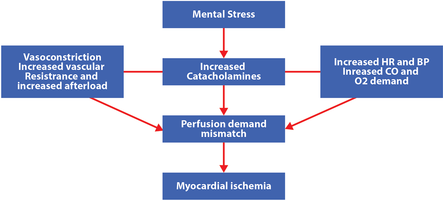 The mechanism of ischemia occurring due to stress.