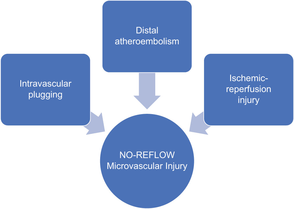 Pathogenesis of no-reflow.