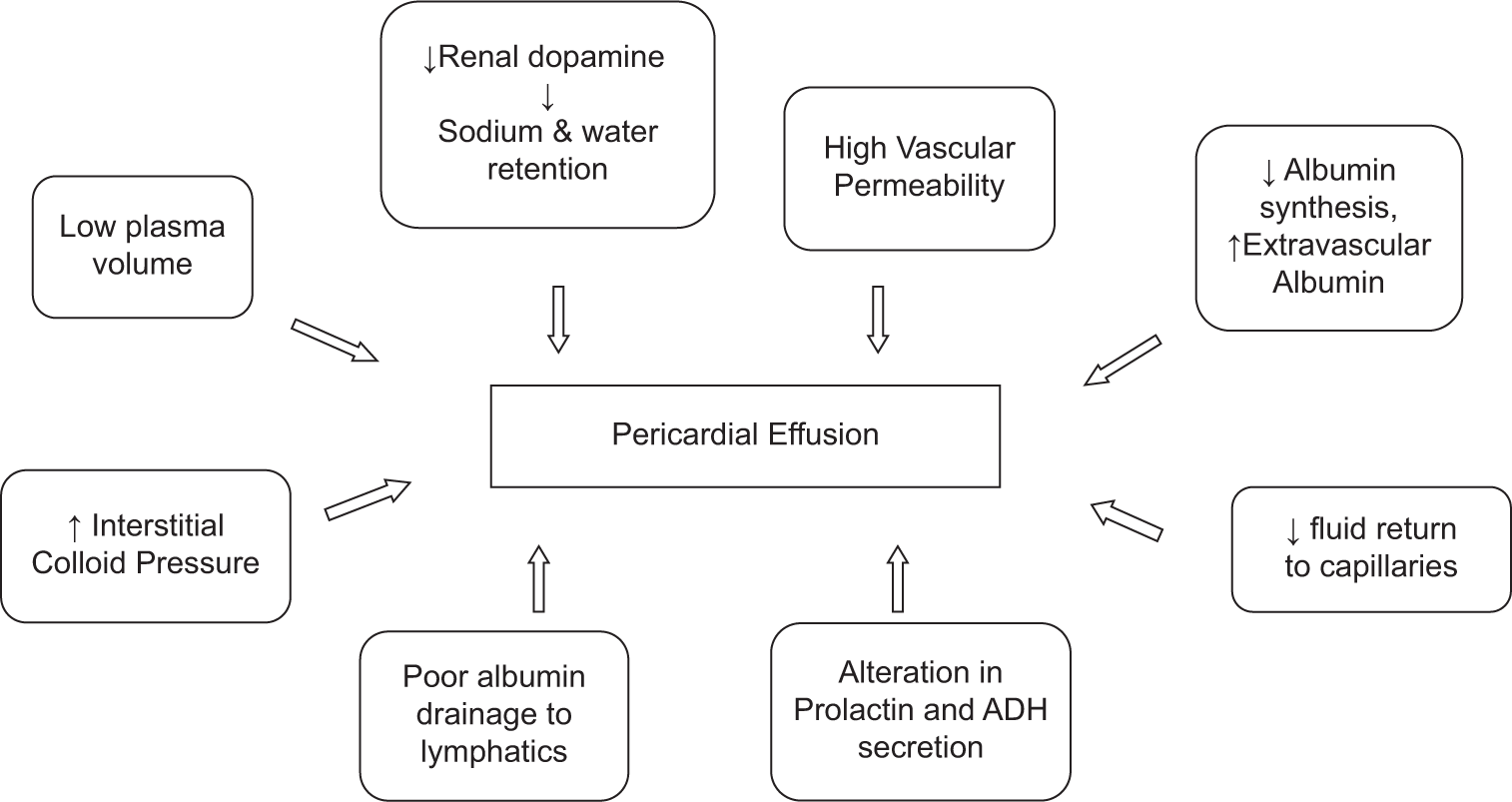Pathophysiology of pericardial effusion.
