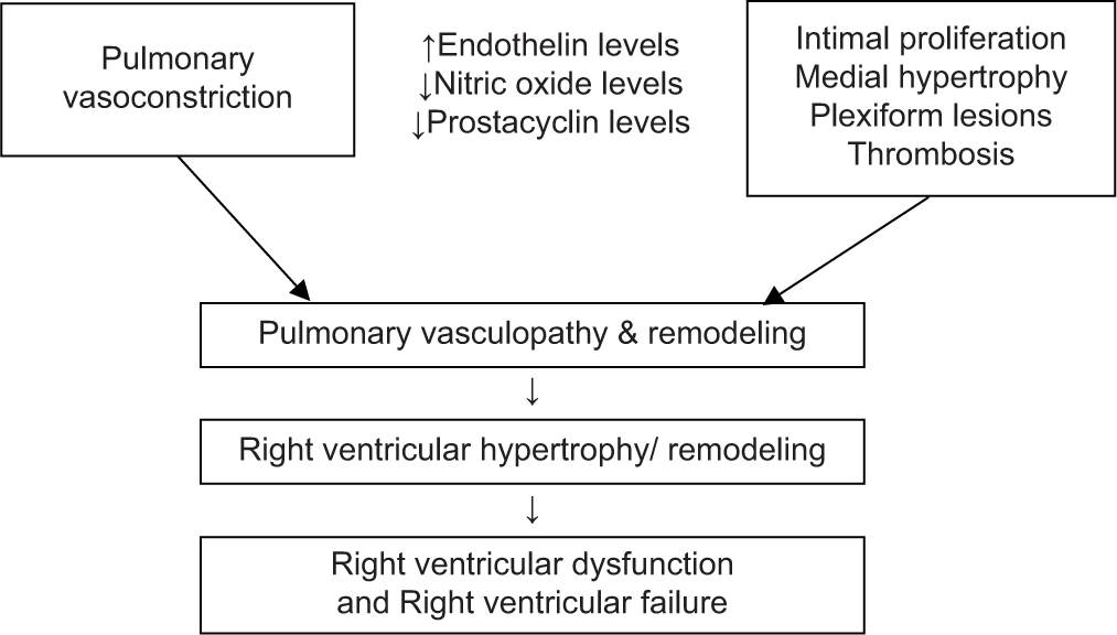 Pathophysiology of pulmonary hypertension.