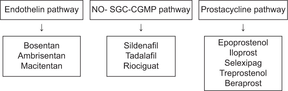 Current therapeutic targets for pulmonary arterial hypertension. (NO-SGC-CGMP: Nitric oxide-Solble guanyl cyclase-Cyclic GMP)